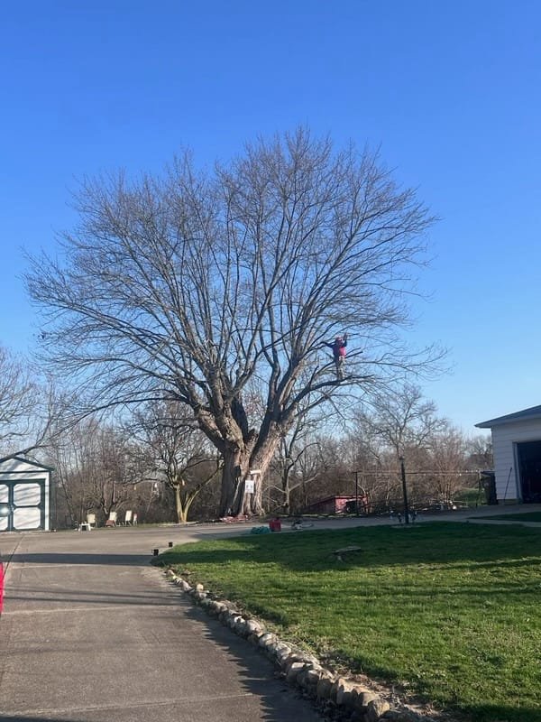 468400649 122138818076369735 5562117779648376644 n