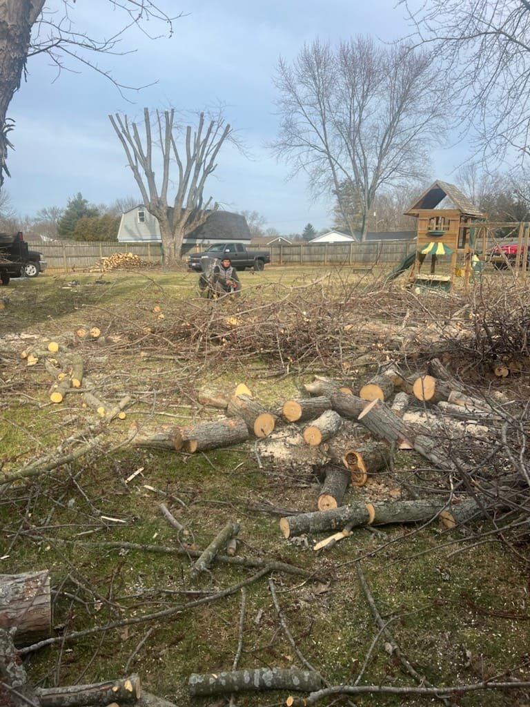 468527122 122138818124369735 4287511016897875366 n